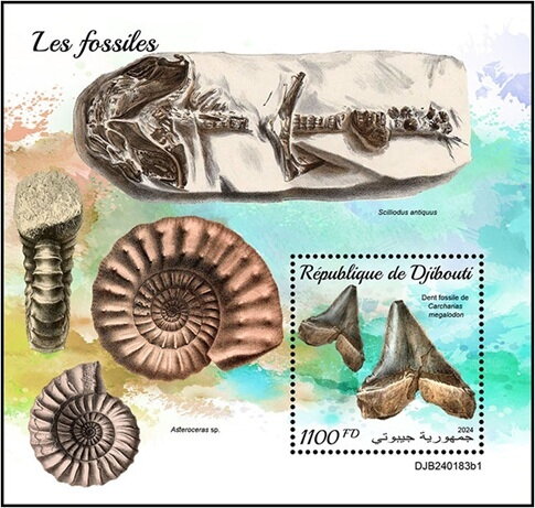 Fossil Tooth of Carcharias megalodon