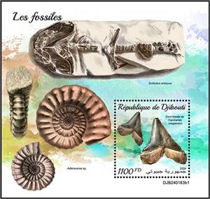 Souvenir Sheet, Fossil Tooth of Carcharias megalodon, Djibouti,  , Fossils, Prehistory