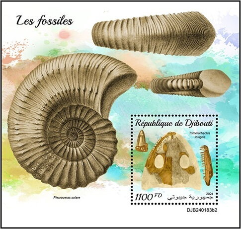 Trimerorhachis insignis