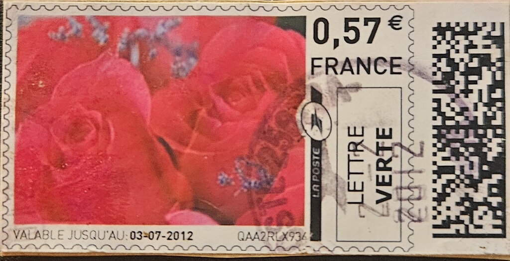 Rose (Rosa)