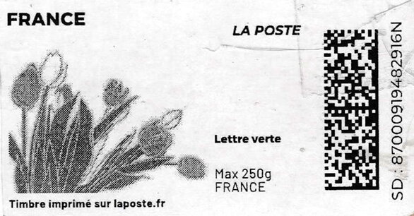 Spring. Pink Tulips. Redesign no logo. in black