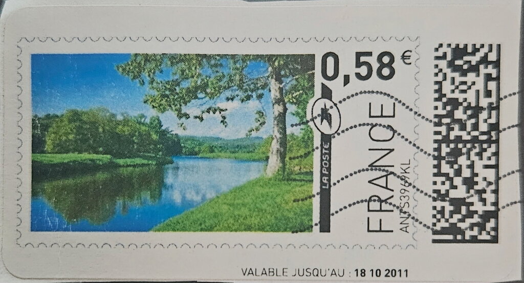 Tree and river