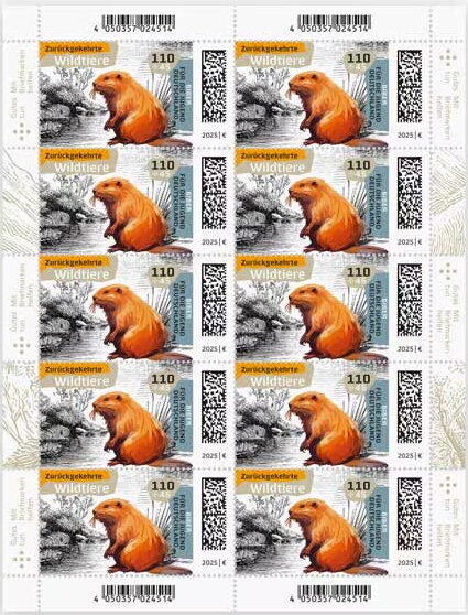 Beaver