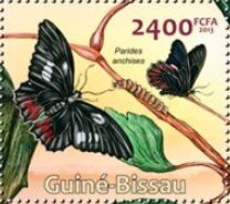 Anchises Cattleheart (Parides anchises)