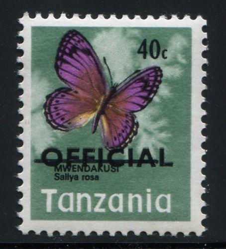Rosa's Tree Nymph (Sallya rosa)