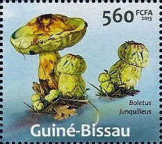 Mushrooms