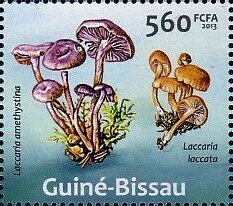 Mushrooms