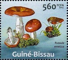 Stamp, Mushrooms, Guinea-Bissau,  , Mushrooms