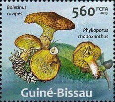 Stamp, Mushrooms, Guinea-Bissau,  , Mushrooms