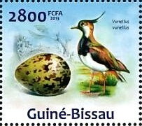 Stamp, Northern Lapwing (Vanellus vanellus), Guinea-Bissau,  , Animals (Fauna), Birds, Eggs