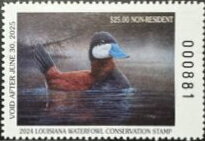 Ducks