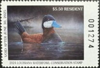 Ducks