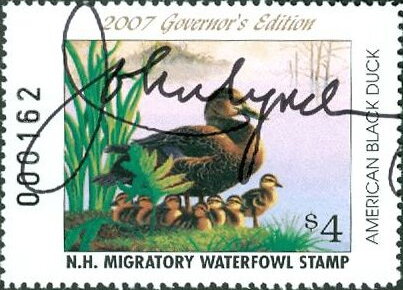 Stamp, American black duck (Anas rubripes), New Hampshire (NH),  , Animals (Fauna), Birds, Ducks, Hunting
