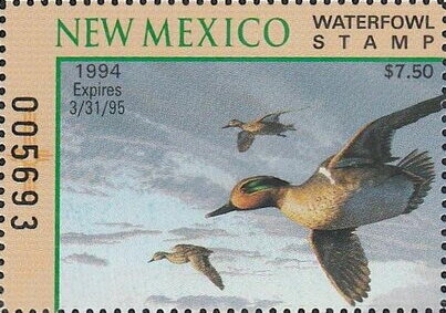 Green-winged teal (Anas carolinensis)