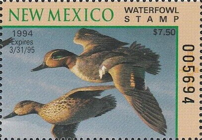 Green-winged teal (Anas carolinensis)