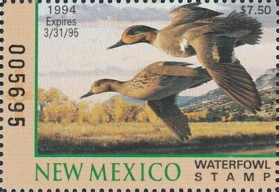 Green-winged teal (Anas carolinensis)