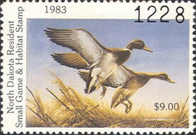 Mallard (Anas platyrhynchos)