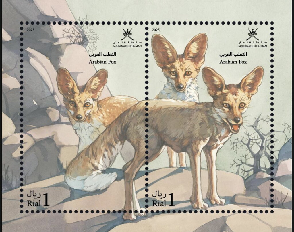 Arabian Fox