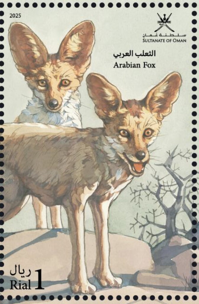 Arabian Fox