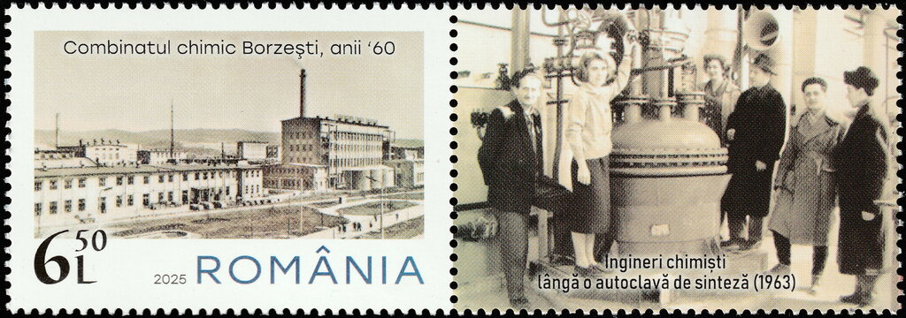 Borzești Chemical Plant, 1960s