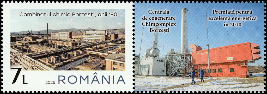Borzești Chemical Plant, 1980s