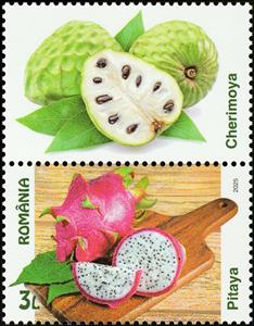 Stamp with Attached Label, Dragon Fruit, Cherimoya, Romania,  , Fruits and Berries, Plants (Flora)