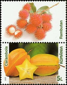 Stamp with Attached Label, Star Fruit, Rambutan, Romania,  , Fruits and Berries, Plants (Flora)