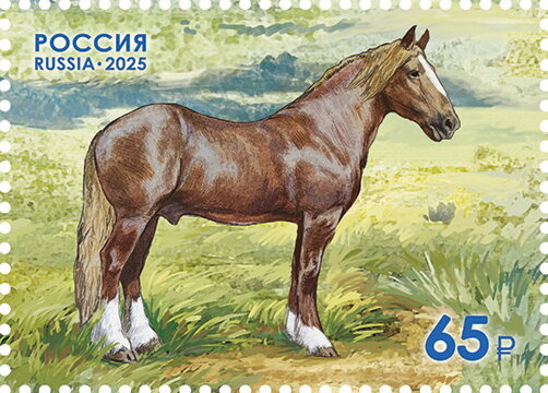 Novoaleksandrovsky Stud Horse Farm, 200 Years
