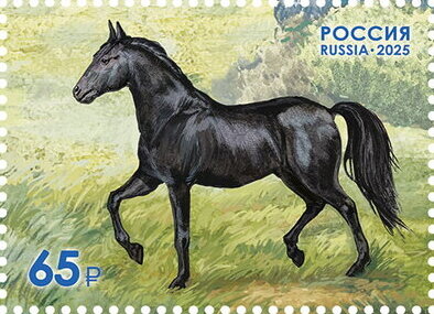Novoaleksandrovsky Stud Horse Farm, 200 Years