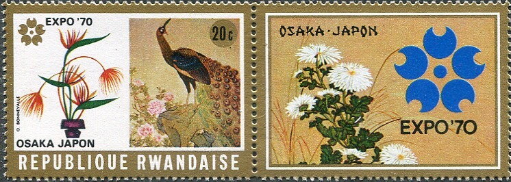 Flower Arrangement, Peacock