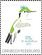 Antillean Crested Hummingbird (Orthorhyncus cristatus)