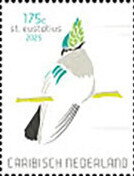Antillean Crested Hummingbird (Orthorhyncus cristatus)