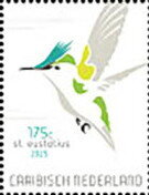Antillean Crested Hummingbird (Orthorhyncus cristatus)