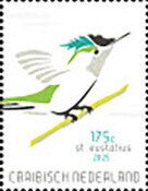 Antillean Crested Hummingbird (Orthorhyncus cristatus)