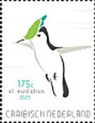 Antillean Crested Hummingbird (Orthorhyncus cristatus)
