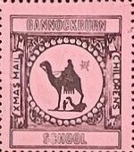 Man on Camel