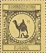 Man on Camel