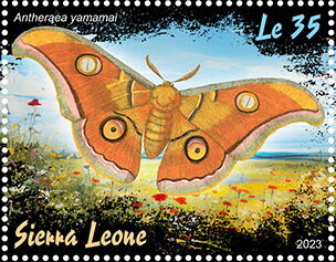 Antheraea yamamai