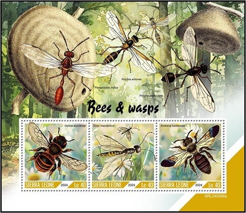 Bees and Wasps