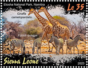 Etosha National Park, Namibia; Equus quagga, Giraffa camelop