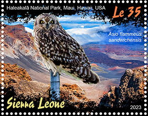 Haleakalā National Park, Maui, Hawaii, USA; Asio flammeus sa