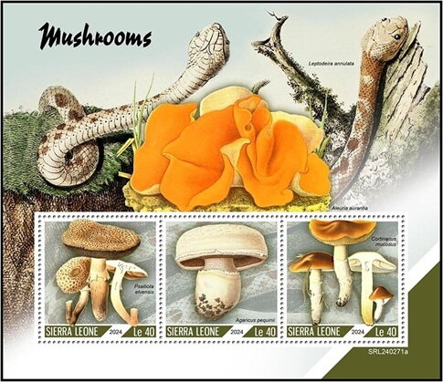 Mushrooms