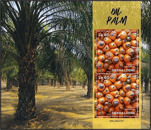 Oil Palm (Elaeis guineensis)