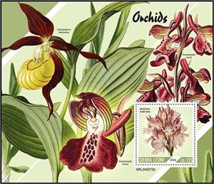 Souvenir Sheet, Orchids (Neotinea tridentata), Sierra Leone,  , Orchids, Plants (Flora)