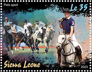 Polo Sport