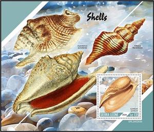 Souvenir Sheet, Shells (Cymbium cymbium), Sierra Leone,  , Sea Life, Shells