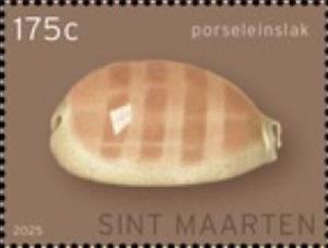 Stamp, Lyncina leviathan titan, Sint Maarten,  , Animals (Fauna), Molluscs, Shells, Snails and Slugs