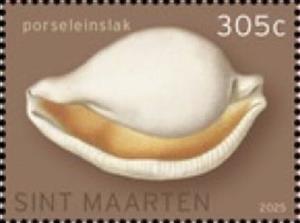 Stamp, Ovula ovum, Sint Maarten,  , Animals (Fauna), Molluscs, Shells, Snails and Slugs