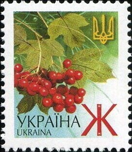 Guelder-rose