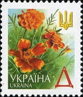 Marigolds